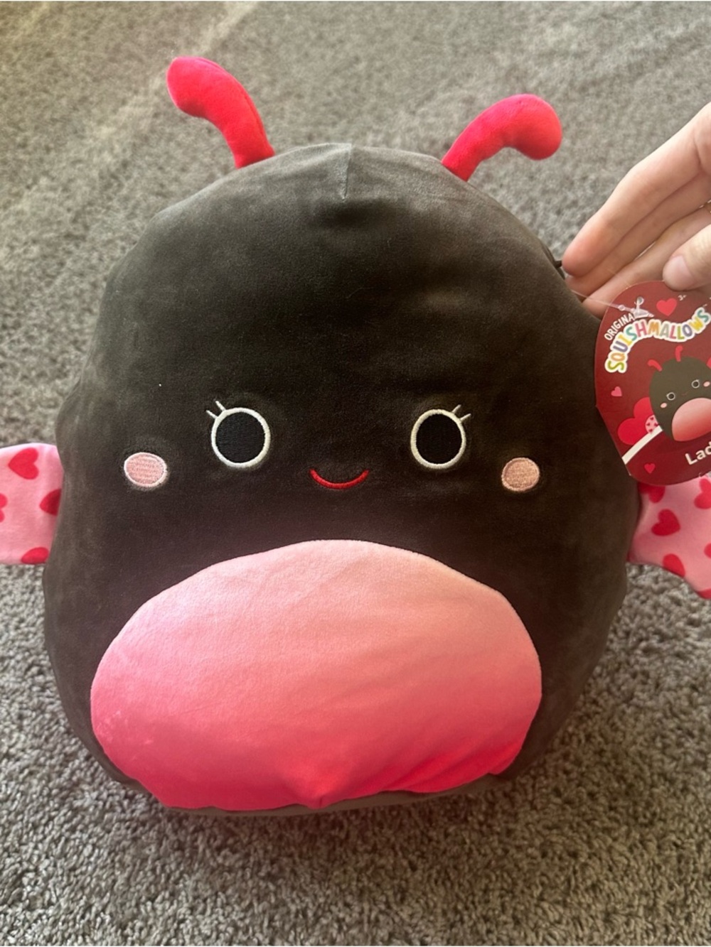 Squishmallows Ladybug Plush - Black & Pink Heart Accent